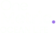 Ocean Life